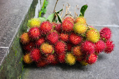 High angle view of strawberries on plant