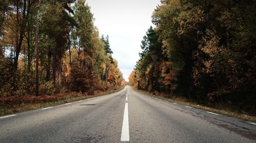 Empty road along trees