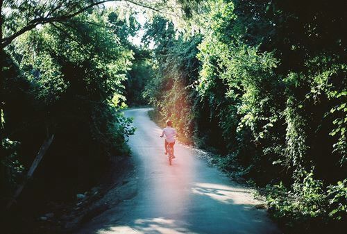 walking, tree, full length, the way forward, rear view, lifestyles, leisure activity, men, forest, person, dirt road, nature, growth, diminishing perspective, footpath, day, animal themes