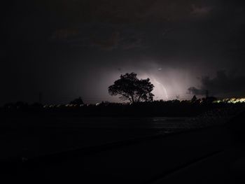 Silhouette of trees at night