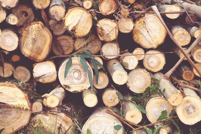 Full frame shot of logs
