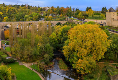 High angle view of trees and buildings in city