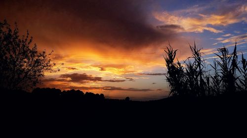 Silhouette trees against dramatic sky during sunset