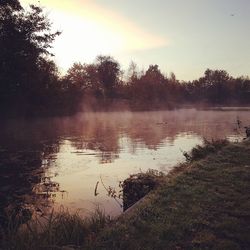 Swan swimming in lake against sky during sunset