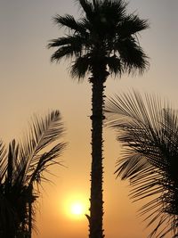 Low angle view of coconut palm tree against romantic sky