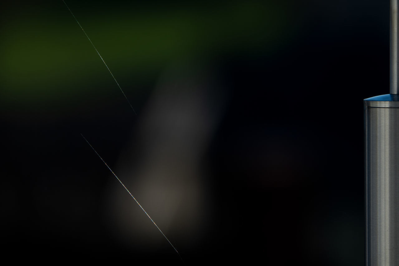 BLURRED MOTION OF PLANT IN DARK