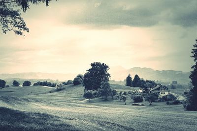 Scenic view of landscape against cloudy sky