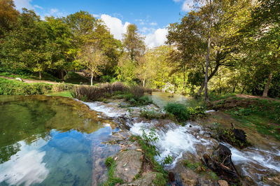 Scenic view of river amidst trees in forest against sky