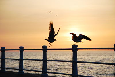 Silhouette seagulls flying over sea against sky during sunset