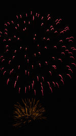 Low angle view of firework display at night