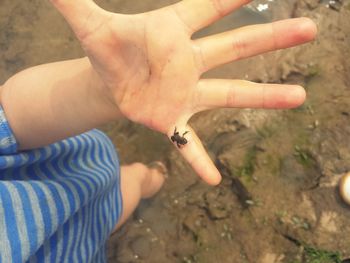 Close-up of hands