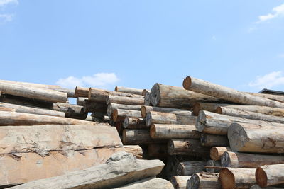 Stack of logs in forest against sky