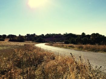 Scenic view of field against clear sky