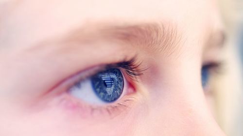 Close-up of human eye