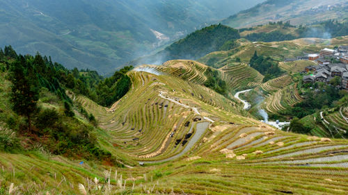 High angle view of trees on landscape