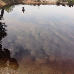 Reflection of trees in water