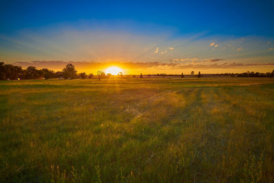 Scenic view of field against sky during sunset