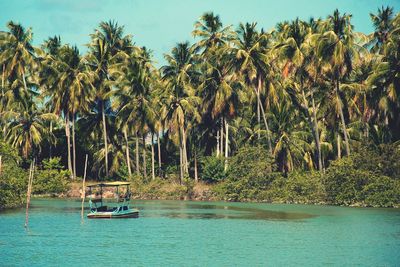 Scenic view of lake against trees