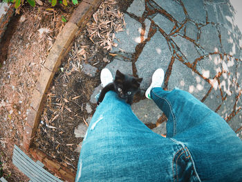 Low section of person on skateboard