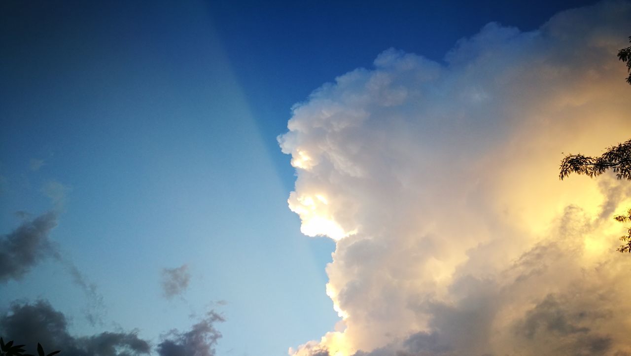 sky, low angle view, blue, beauty in nature, cloud - sky, nature, no people, outdoors, tree, scenics, sunset, day