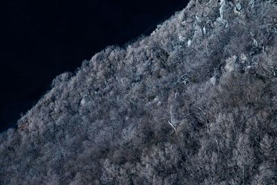 Low angle view of ice on rock at night