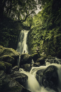 View of waterfall in forest