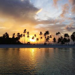 Scenic view of sea during sunset