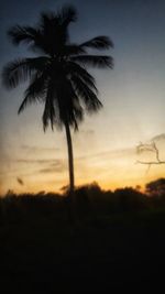 Silhouette palm trees against sky during sunset