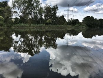 Reflection of trees in calm lake