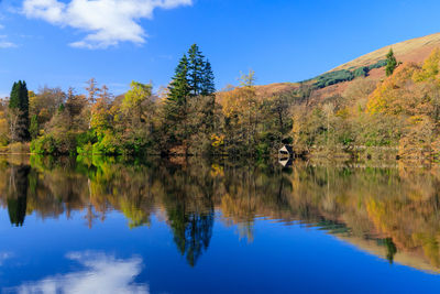 Scenic view of lake by trees against blue sky