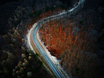 Landscape with winding road through forest, aerial view