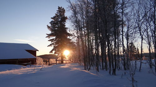 Snow covered landscape at sunset