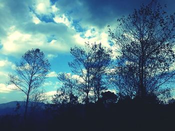 Low angle view of silhouette trees against sky