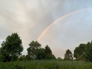 Scenic view of rainbow over trees against sky