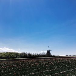 Windmills on landscape against blue sky