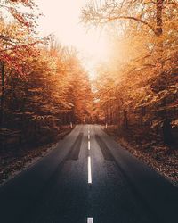 Road passing through trees