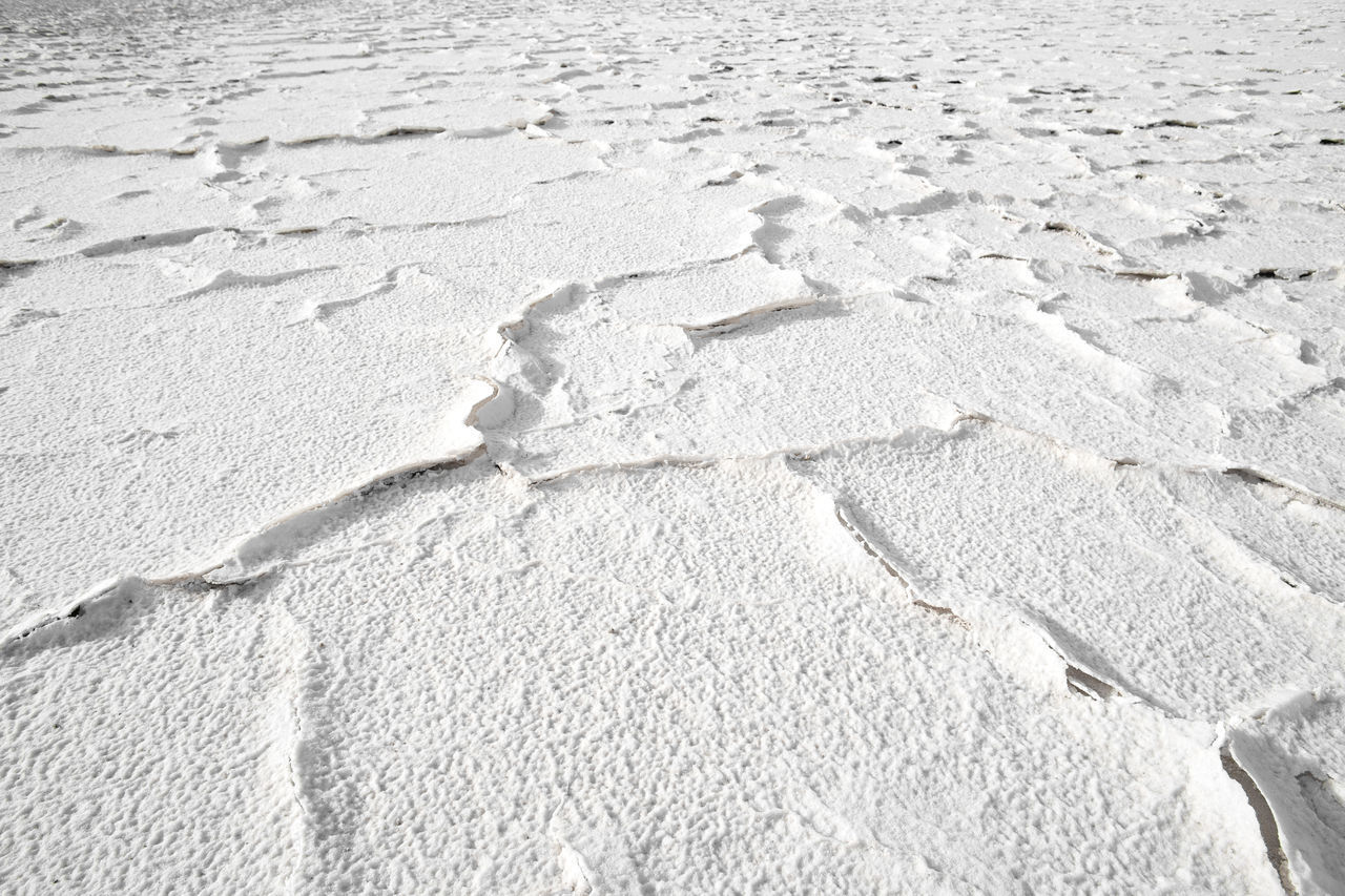 CLOSE-UP OF CRACKED SAND