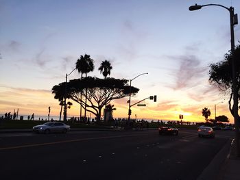 Trees by road against dramatic sky during sunset