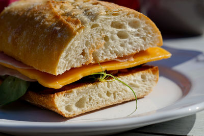 Close-up of sandwich served in plate