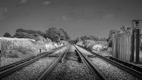 Railroad tracks amidst trees against sky