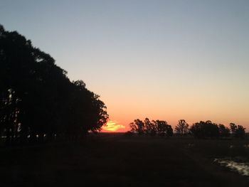 Silhouette trees against clear sky during sunset