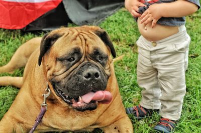 Low section of man with dog