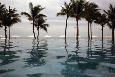 Scenic view of palm trees reflected in water 