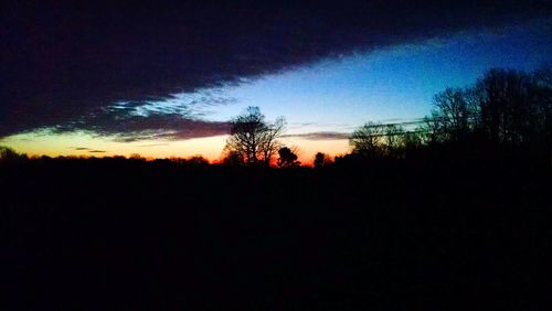 Silhouette of trees at sunset