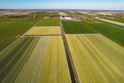 High angle view of agricultural field