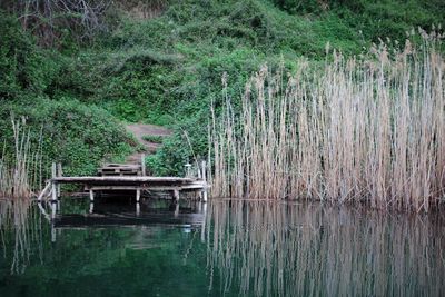 Scenic view of lake