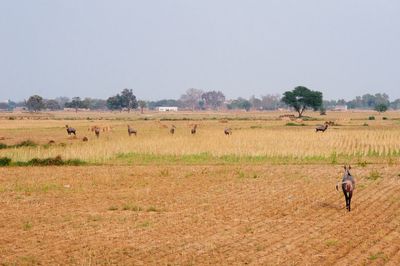 Scenic view of grassy field against cloudy sky