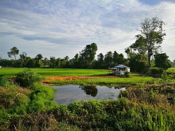 Scenic view of grassy field against cloudy sky