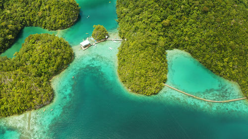  sugba lagoon. beautiful landscape with blue sea lagoon, national park, siargao island, philippines.