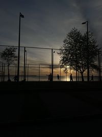 Low angle view of trees against sky